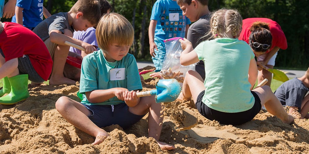 Sea Summer Camp